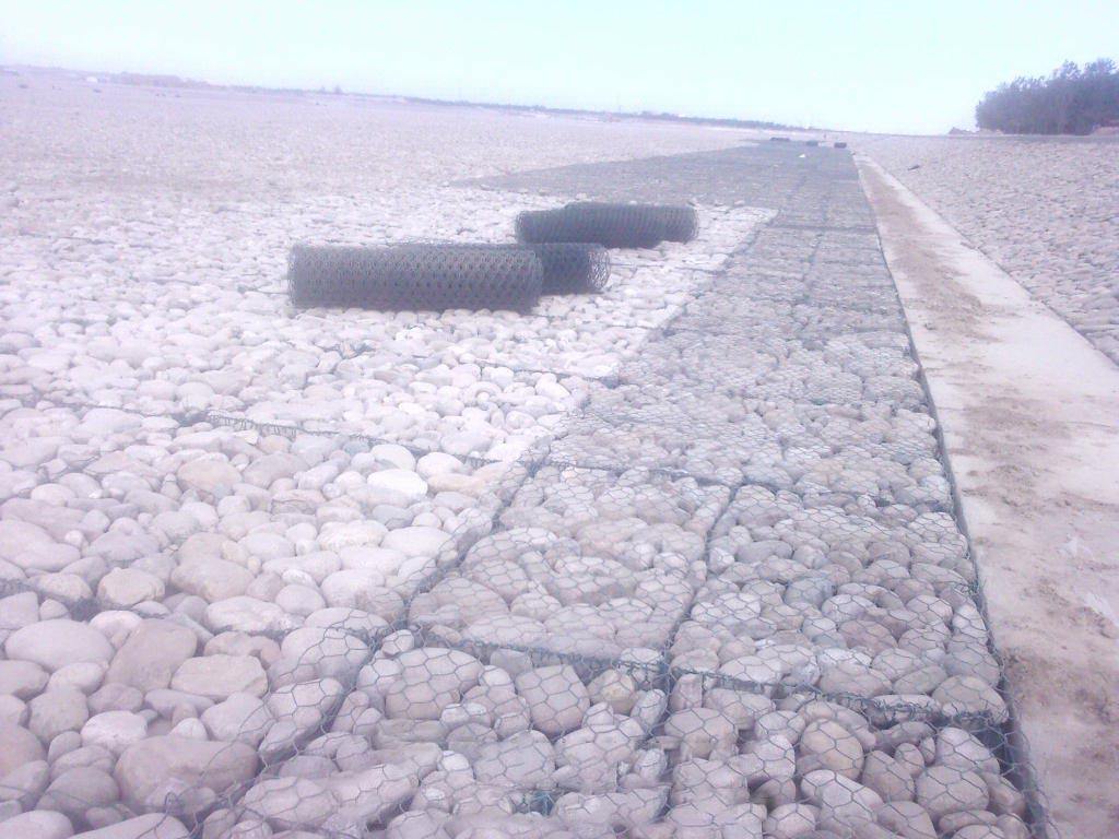 雷諾護(hù)墊的生態(tài)效應(yīng)和河道堤坡的防護(hù)