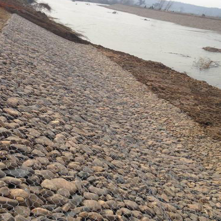 雷諾護墊的生態(tài)優(yōu)勢特點