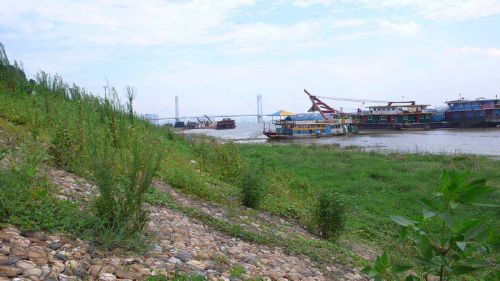 生態(tài)雷諾護(hù)墊縫隙為水體流動創(chuàng)造了條件